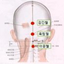 [펌]경침뇌파진동, 고혈압ㆍ당뇨ㆍ불면증ㆍ디스크 등 어르신 건강 개선 이미지