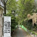 매탄동 플루토플루토x언덜 | 수원 영통 애견동반 느좋 카페 추천 내돈내산 후기