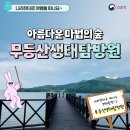 박지연명품생태 | 아름다운 마법의 숲 ‘국립공원 무등산생태탐방원’