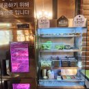 태백가족