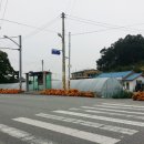 본성1리 이미지