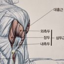 풍무핏