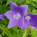 김영환농장 이미지