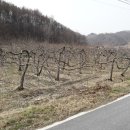 수원-1860 이미지