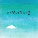 자작나무의 봄/ 동시조 쪽배 동인 (2024.10) 이미지