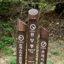 서삼농장 이미지