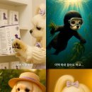 한국반려동물영양연구소 | 한국반려동물영양연구소, ‘뜨아’ 캐릭터 AI 영상 개발
