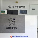 설악동물병원 - 속초시 동해대로 4308 | 설악동물병원
