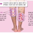 루아한의원 네이버블로그
