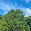 부산시민공원 숲속북카페 이미지