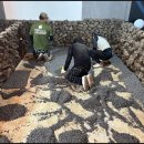 1번지포차 이미지