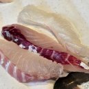 강화도 횟집 진복호 선주가 직접 잡아서 판매하는 인천 강화 맛집