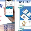 란돌트 아이케어 이미지