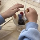 해평초등 병설 이미지