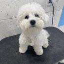 몽이미용실 이미지