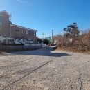 돌마당식당 | [지금식당 영종본점]영종도 을왕리 맛집! 인생맛집 등극 솔직후기(칠리크랩&amp;모듬해물장)