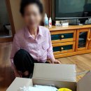 대한방역