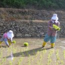 정다운마을 이미지