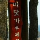 바닷가나무집