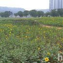 단원구청.단원보건소 이미지