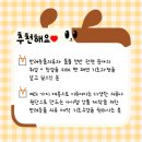 패션디자인(초급) 이미지