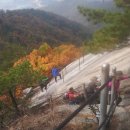 정상로 이미지