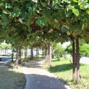 포항세탁소 이미지