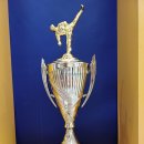 용인대 에이스 태권도 이미지