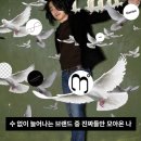 무조건 뜬다 포텐셜 국내 신생브랜드 모음 (SYMM,𝖬𝖸𝖲𝖳𝖤𝖯𝖧𝖤𝖭𝖬,kamien,LTS,png journal,MTP)