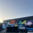 오션모터스 | 부산 영도 가볼만한곳 아르떼뮤지엄 부산 엄마와 미디어아트 전시 후기