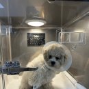 아는수의사 동물병원 이미지