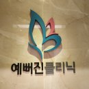 예뻐진의원 | 내돈내산 찐단골의 보톡스 후기 : 예뻐진 의원
