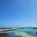 둥지애견 | 3박 4일 애견동반 제주도 여행 #9. 판포 현스테이 // 판포포구 근처 아늑한 독채펜션