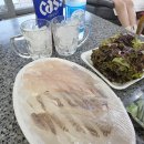 궁평항 수산시장 횟집 추천｜진희네 가성비 좋은 대게·제철 활어회