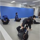 화랑합기도 주짓수 금촌도장 | 금촌 MMAStroy에서 만난 화랑합기도 주짓수 도장의 특별한 매력