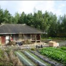 보석상자 이미지