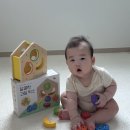 우리 아이 첫 교구, 블루래빗 달콤한 과일 박스로 두뇌 자극 시작!