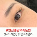 [안산 중앙역 속눈썹] 아이벨라에서 마스카라 연장 시술 리얼 후기