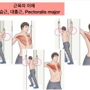 강 PT 이미지