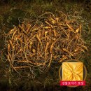 삼가-25 쇼핑하우