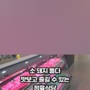 일광정육 - 기장군 일광로 88 | 일광정육