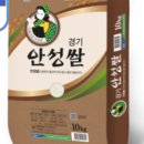 바보농축수산물 | 고향사랑기부제 후기, 위기브로 시작한 의미 있는 기부