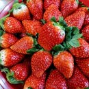 고흥팜2농장 이미지