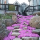 횡성리버뷰펜션 이미지