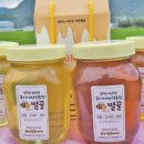 우리봄이네 이미지