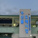대전도매시장 | 대전 노은동 수산물도매시장 : 활어회 대하 포장 후기_21호 서해수산, 3층 싱싱페스타 정보