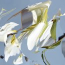 대전시립미술관 이미지