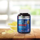 육하원칙 이미지