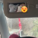율칼 네이버블로그