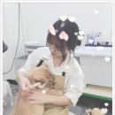 안다 펫살롱 이미지